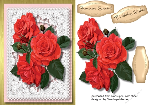 Beautiful Red Roses on lace and Gold Frame 
