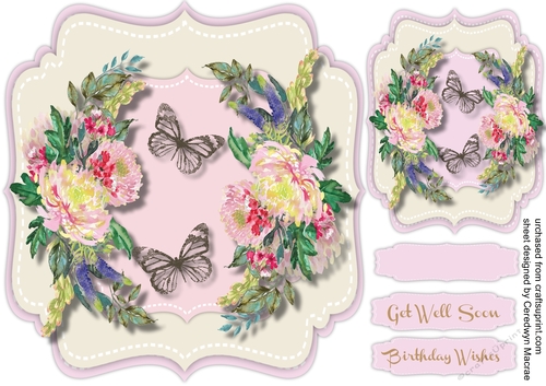 Beautiful Chrysanthemums and Butterflys 2