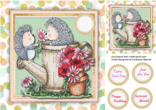 Hedgehog Popsy Daisy 
