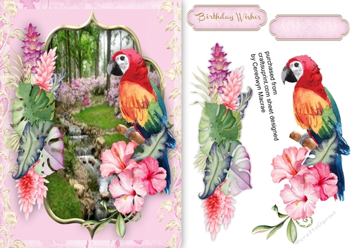 Tropical Parrot and Foliage 