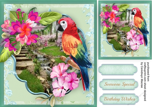Tropical Flowers and Parrot  