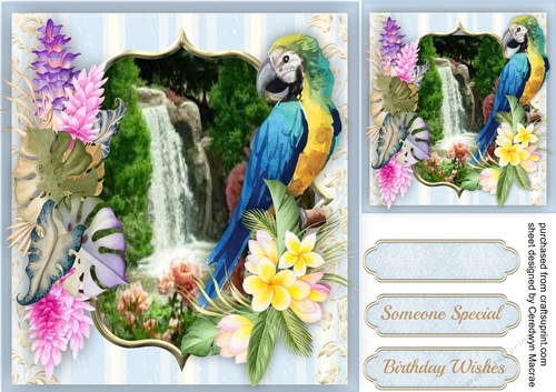 Tropical Flowers and Parrot 2 