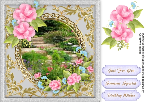 Beautiful Pink Roses and Scene 3