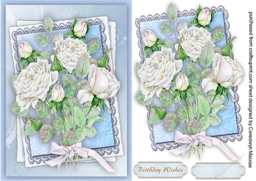 Beautiful White Roses on a Blue Lace Mat 