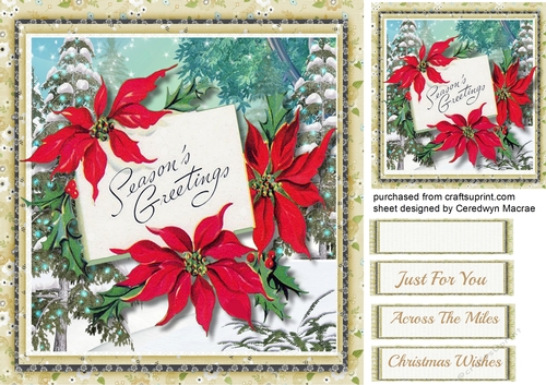 Seasons Greetings 