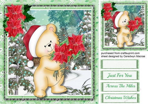 Lovely Poinsettia Bear 