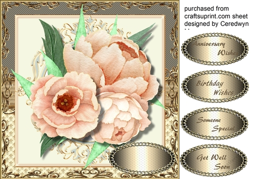 Beautiful Coffe Peonies in a Gold Frame 