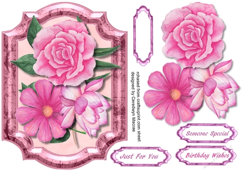 Dusky Pink Roses in a Bracket Frme 