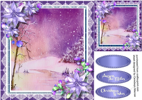 Beautiful, Misted lake with lilac Poinsettias