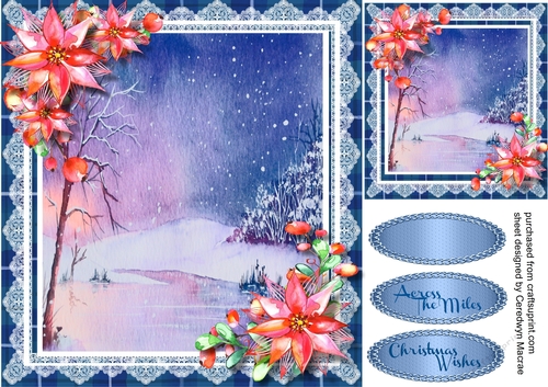 Winters Lake with  Poinsettias