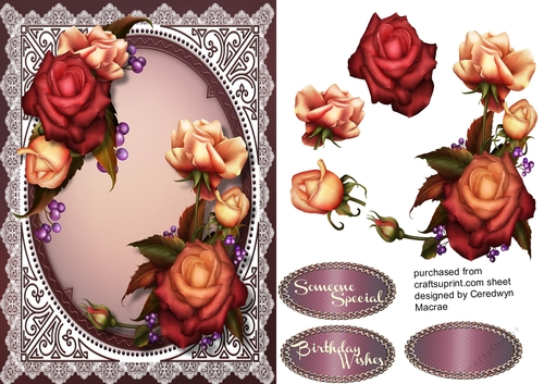 Beautiful  October Roses A5