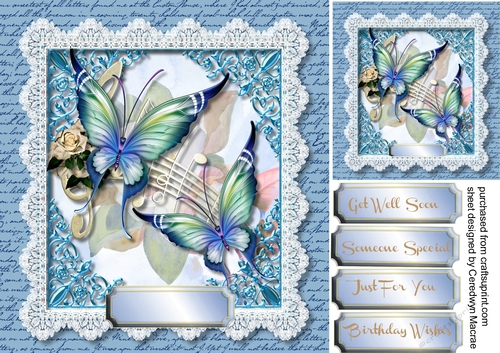 Beautiful Butterflys and Lace   1