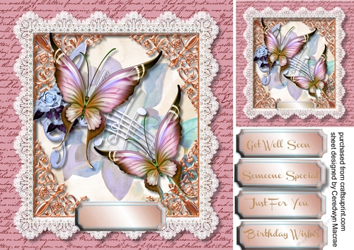 Beautiful Butterflys and Lace   2