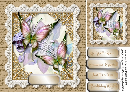 Beautiful Butterflys and Lace   3