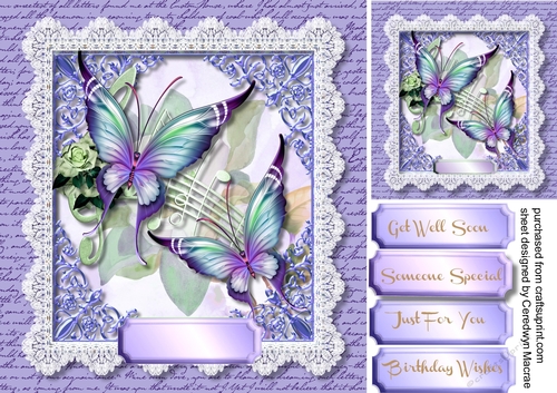 Beautiful Butterflys and Lace   4