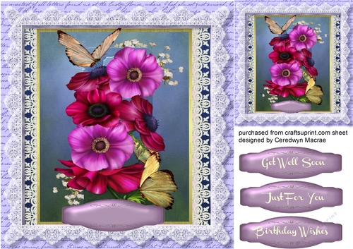 Beautiful Anemones and butterflys