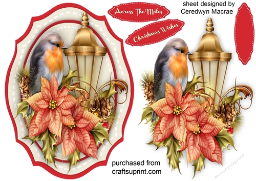 Christmas  Robin and Lantern 
