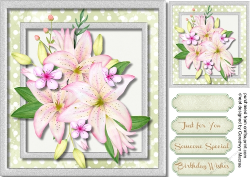 Beautiful Lillys and Blossom 