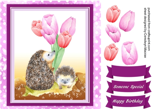 Hedgehog and Tulips 