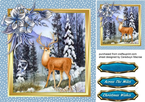 Beautiful Stag on the Hll
