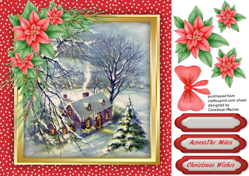 Beautiful Scene with Poinsettias