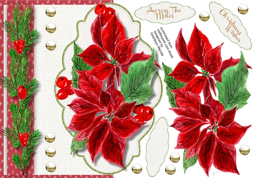 Over the Edge  Beautiful Poinsettias
