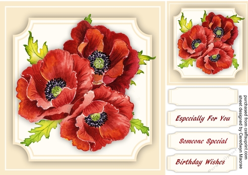 Stunning Poppieson cut out Mat 