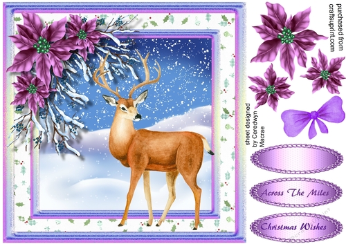 Beautiful Stag with Lilac Poinsettias