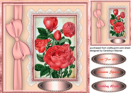 Beautiful Roses and Side Bow  1
