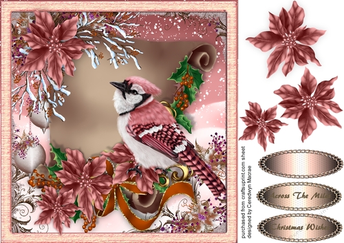 Beautiful Wintersong with Pink Poinsettias