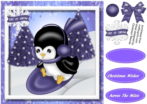 Penguins Ski Ride  3