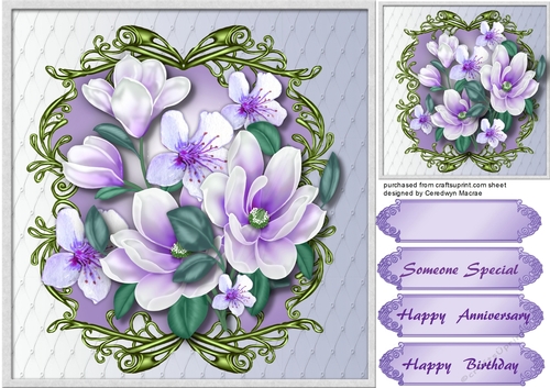Beautiful Magnolias and Blossom 