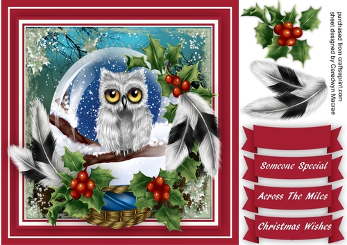 Owl i a Crystal Ball