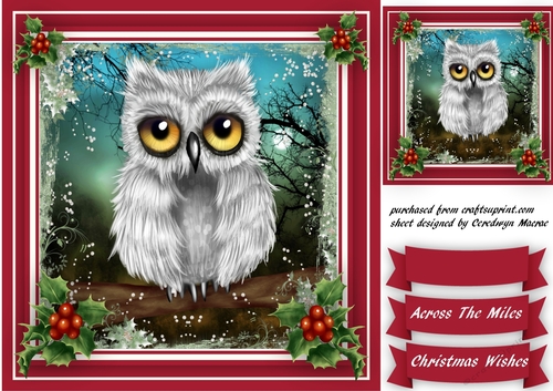 Lovely Christmas Owl on a Branch