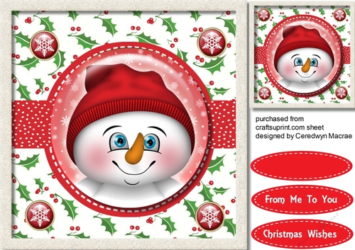 Snowman in Stitched Frame 1