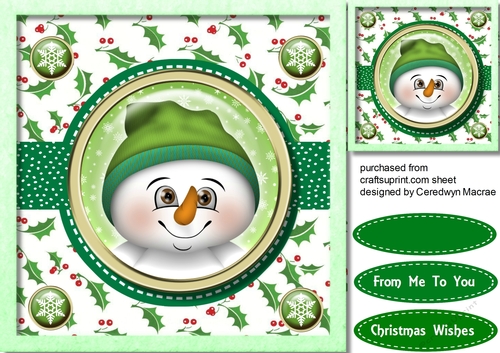 Snowman in Stitched Frame  3