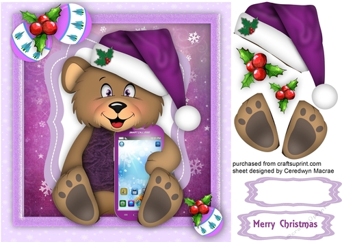Teddy and His I Pad 