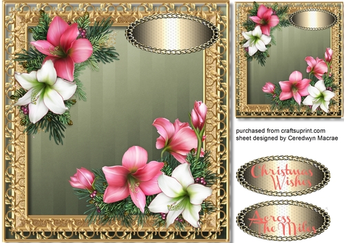 8x8 Beautiful Christmas vintage Amaryllis