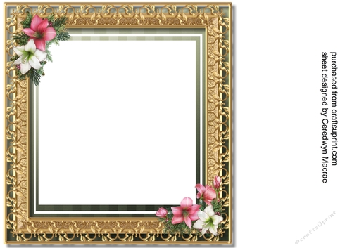 8x8 blank Incert   Christmas vintage Amaryllis
