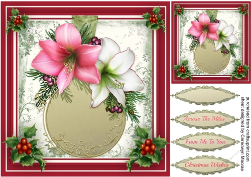 Beautiful Amaryllis and Holly 