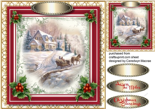 Beautiful Christmas Sleigh Ride