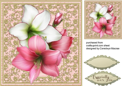 Beautiful Amaryllis on a Gold Mat 
