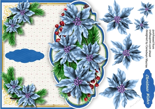 Over The Edge  blue Poinsettias