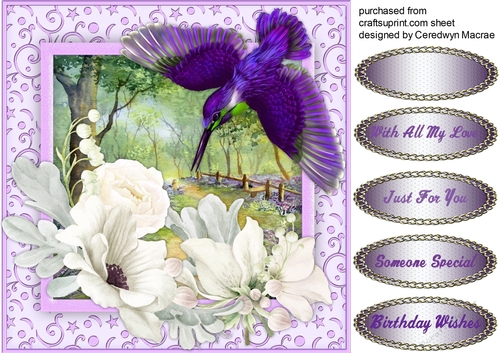 Stunning Humming Bird in the Flowers