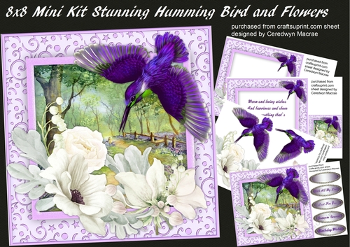 8x8 Mini Ki ,Stunning Humming Bird in the Flowers