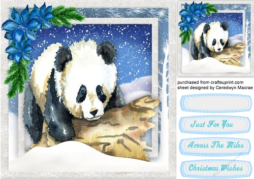 Panda in the Snow 