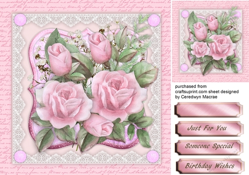 Beautiful Roses in a Bracket Frame 