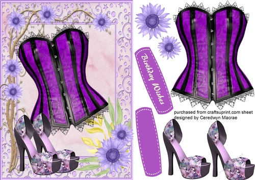 Sexy Lilac Bask and Shoes 