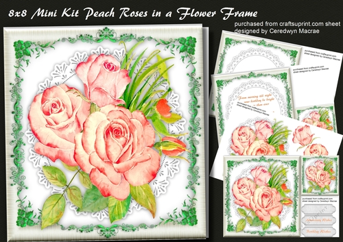 8x8 Mini Kit Peach roses ina Flower Frame 