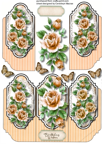Beautiful Tri card with Cream  